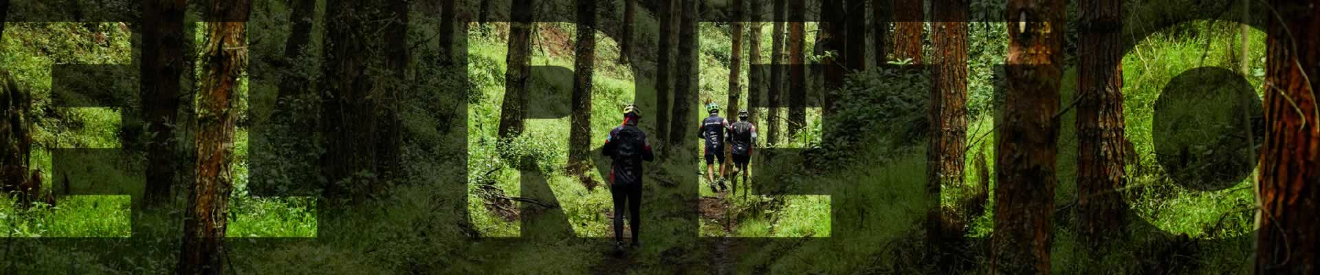 Resultados 2022 - 2023