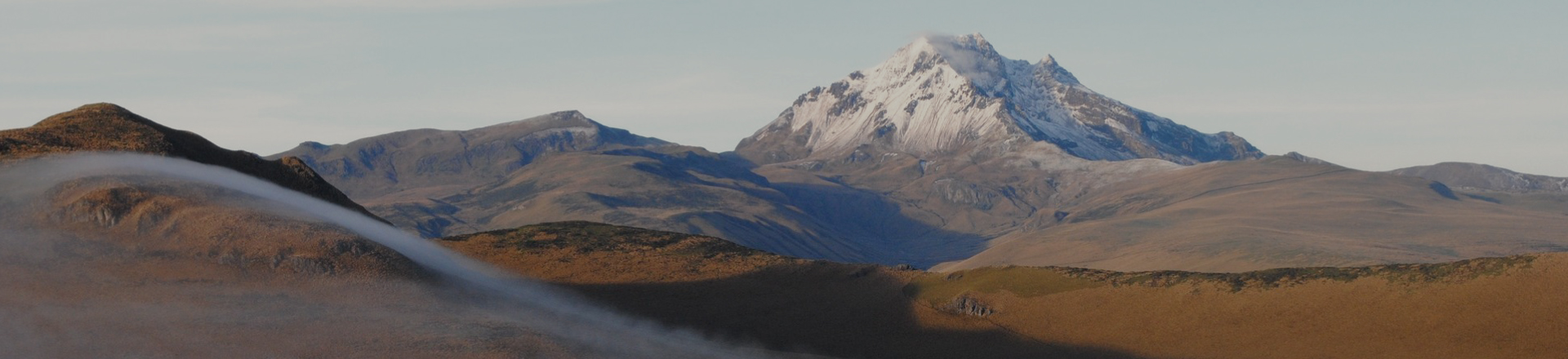 Servicios Adicionales